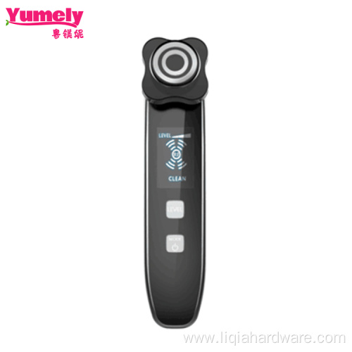 Portable Vibration RF/EMS Beauty Instrument